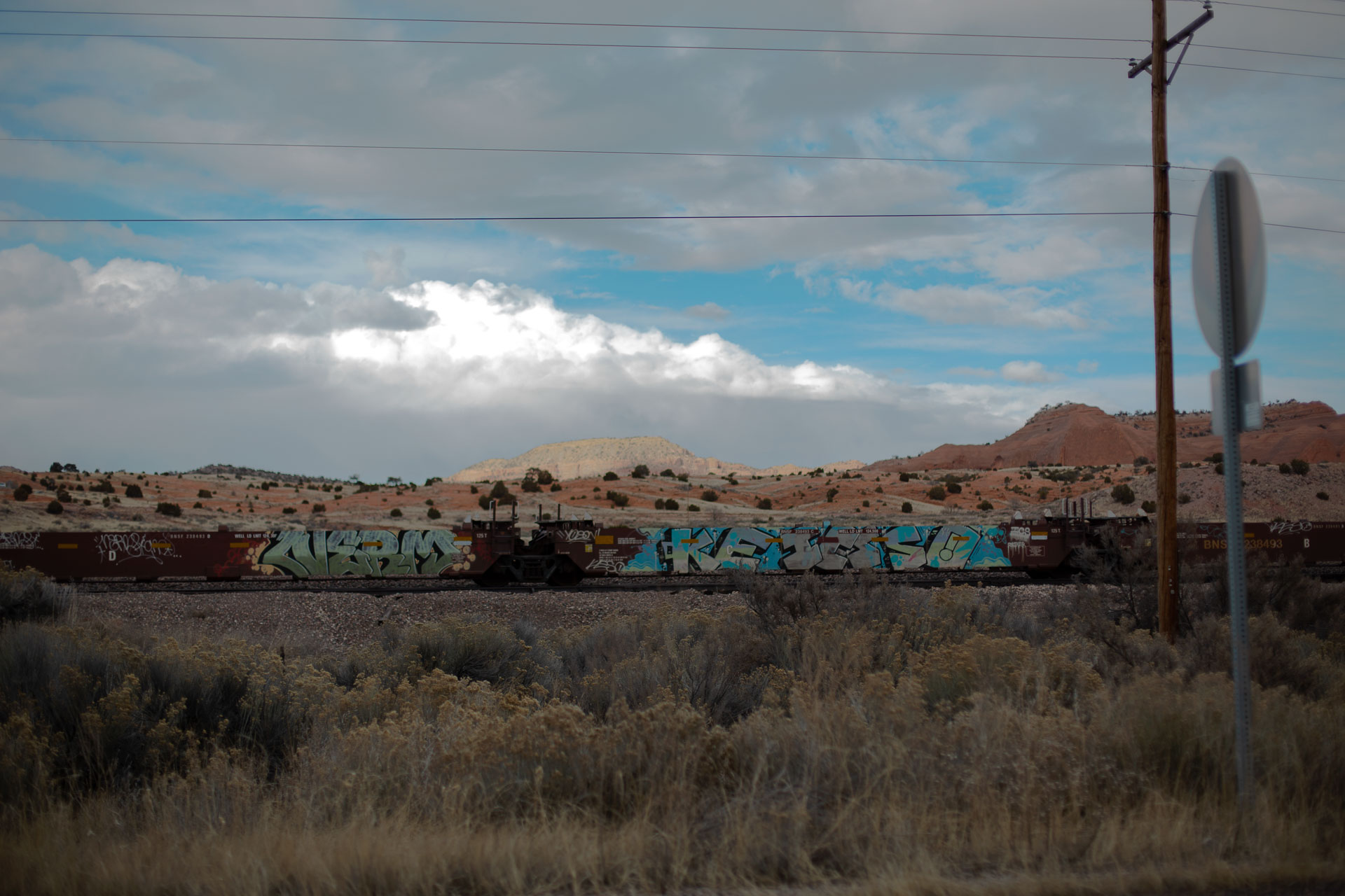 graffiti on line of train cars color.