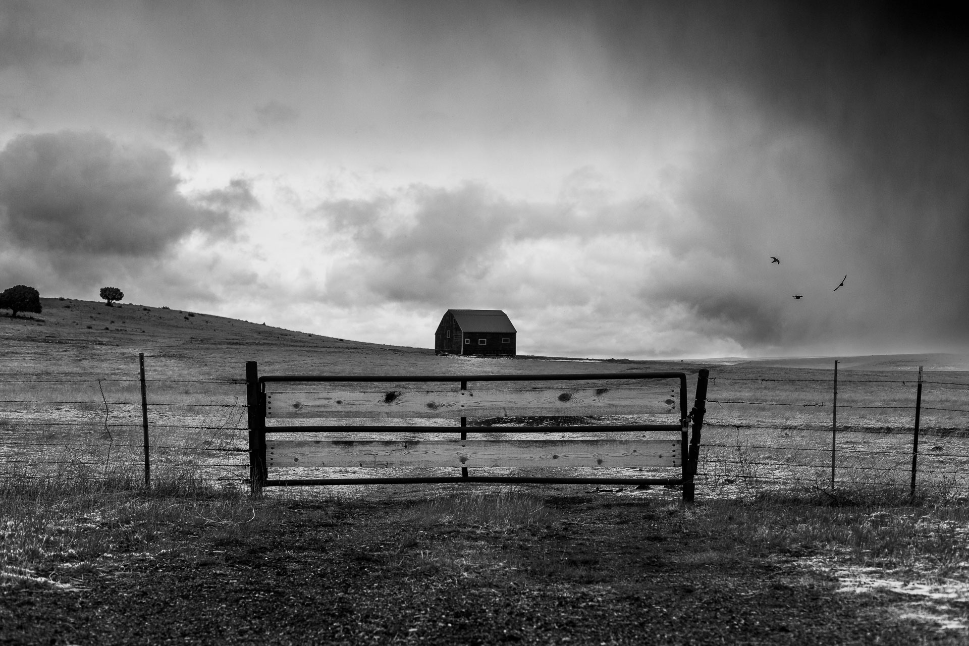 black and white photo of fence in front of plains.