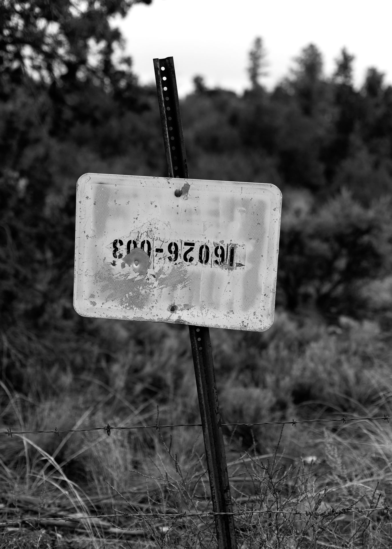 old white sign on small post.