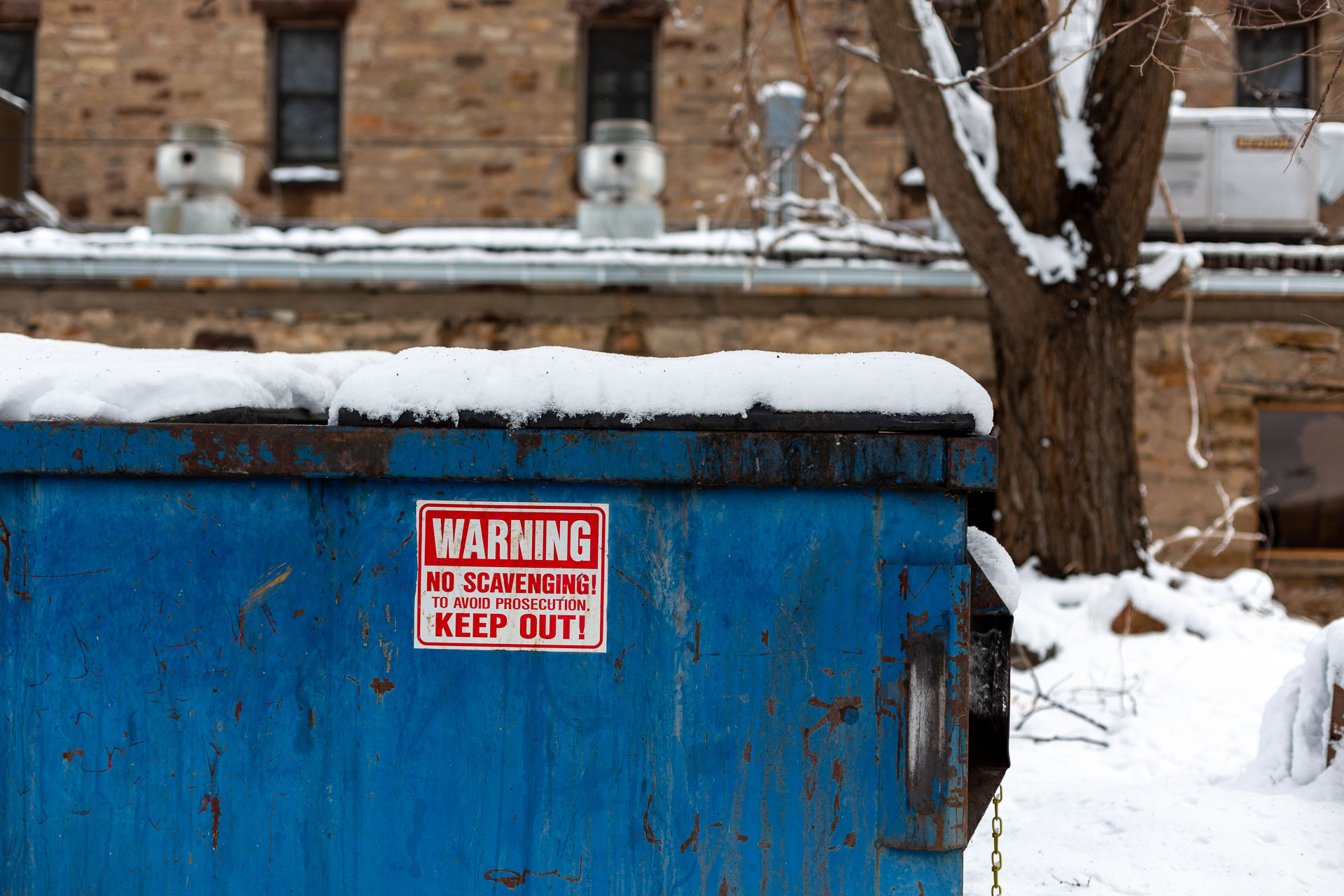 blue dumpster in the snow.