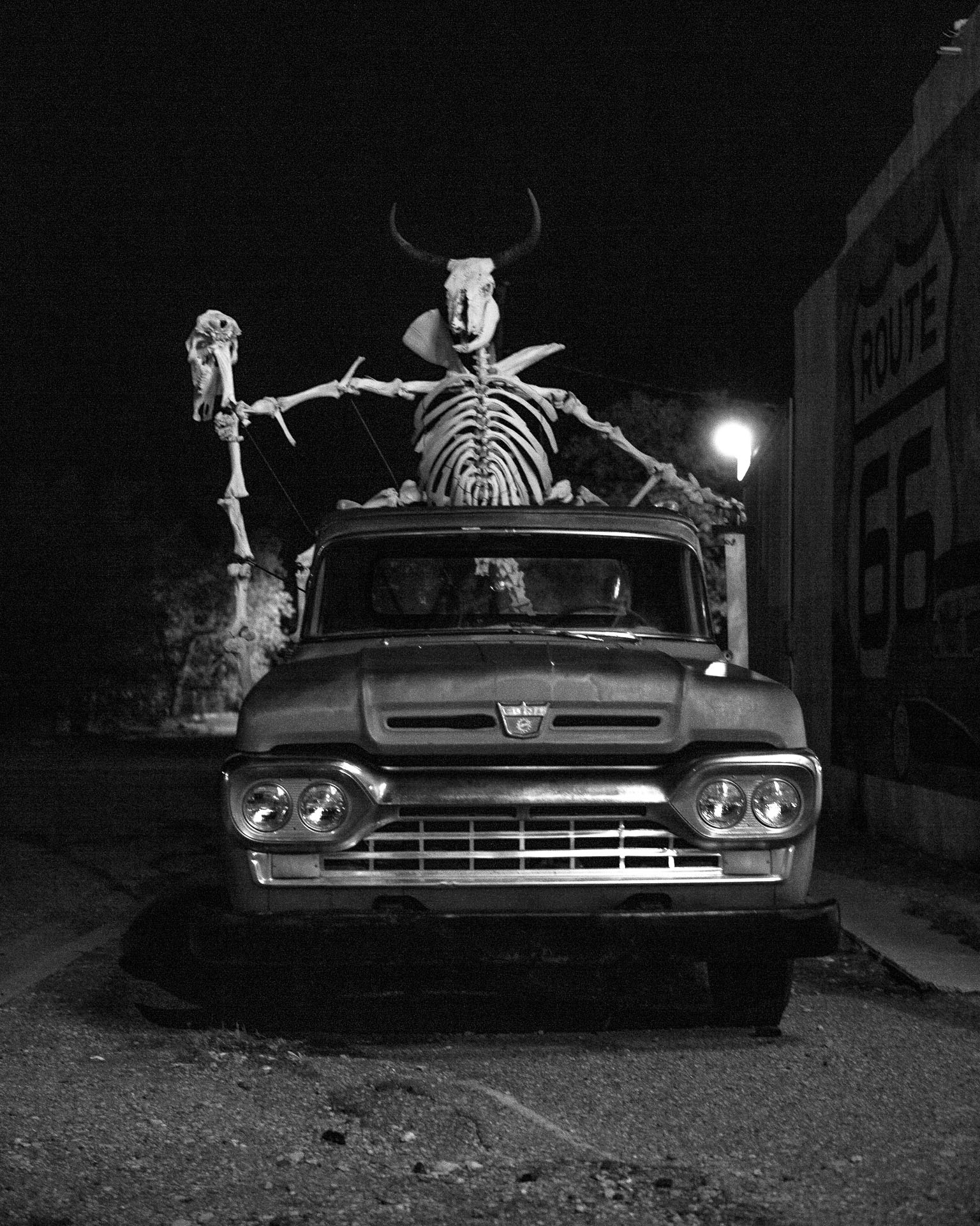 large skeleton in back of old pick up truck