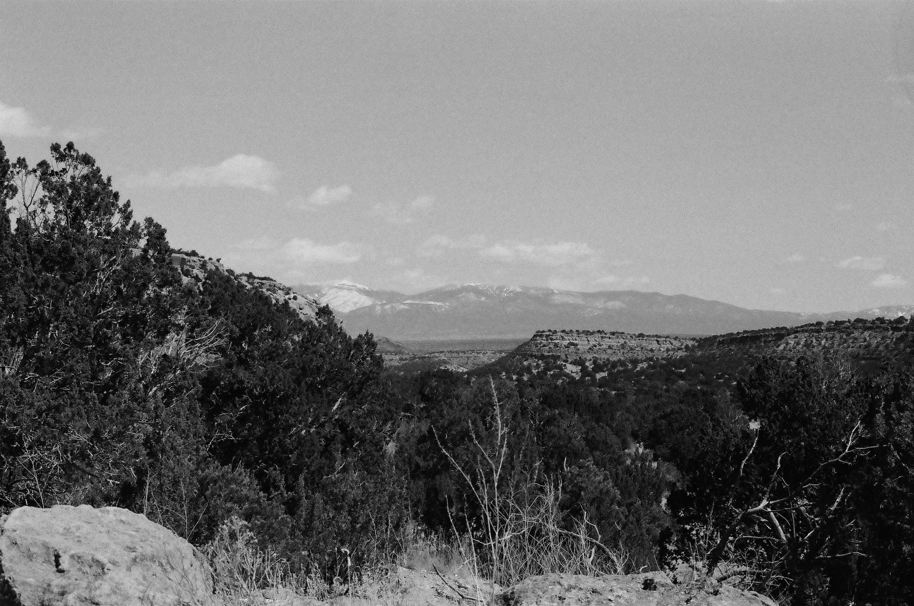 Sangre de Cristos from Canyon | 2023 | Los Alamos, NM